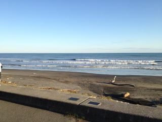 379842_147546865352966_100002929595412_224396_1815617574_n