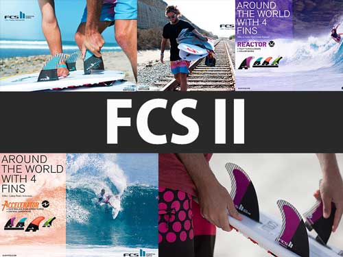 fcs2_top_fin