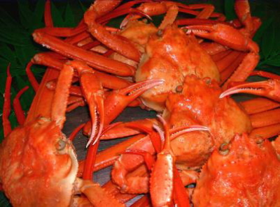 ab84b6144c6d4b26b6ceacd3541e8240