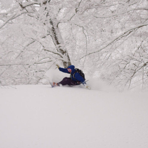 blogger-image-1583342805