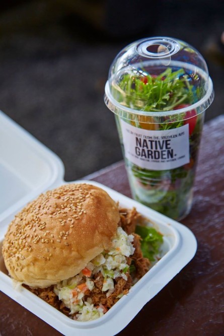 13923268_1036019469844556_1072741130999249797_o