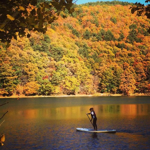 12278958_907950175978643_8641540503390876597_n