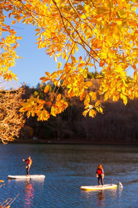 13925791_170955266660898_949980747243169733_o