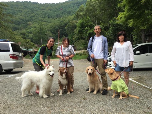 14317505_1231694813570870_4251631728045591711_n